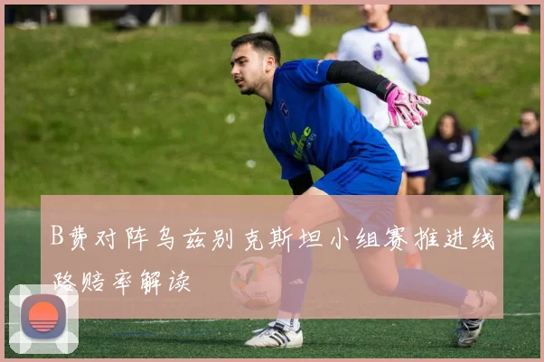 B费对阵乌兹别克斯坦小组赛推进线路赔率解读