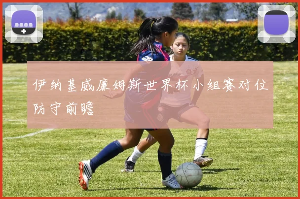 伊纳基威廉姆斯世界杯小组赛对位防守前瞻