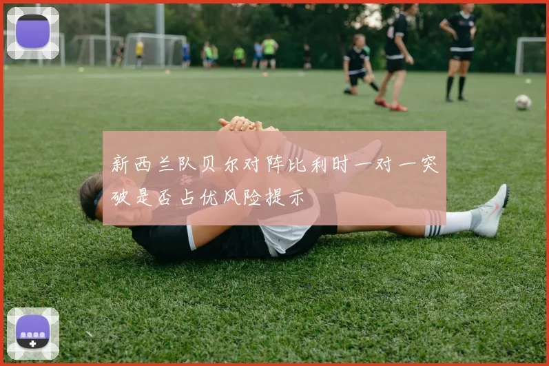 新西兰队贝尔对阵比利时一对一突破是否占优风险提示