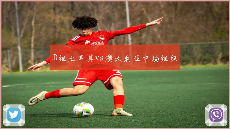 D组土耳其vs澳大利亚中场组织