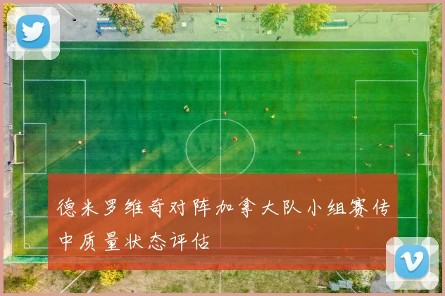 德米罗维奇对阵加拿大队小组赛传中质量状态评估
