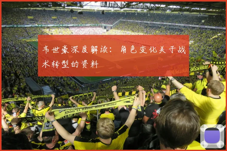 韦世豪深度解读：角色变化关于战术转型的资料