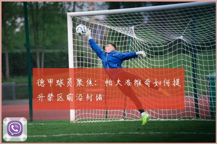 德甲球员聚焦：帕夫洛维奇如何提升禁区前沿封堵