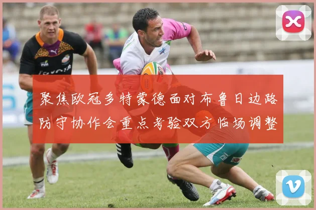 聚焦欧冠多特蒙德面对布鲁日边路防守协作会重点考验双方临场调整