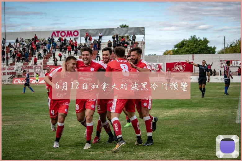 6月12日加拿大对波黑冷门预警