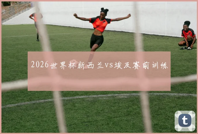 2026世界杯新西兰vs埃及赛前训练